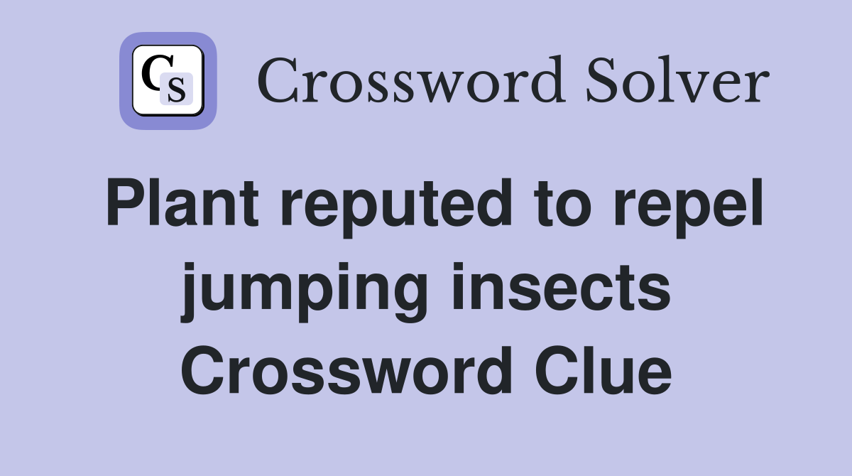 Plant reputed to repel jumping insects Crossword Clue Answers